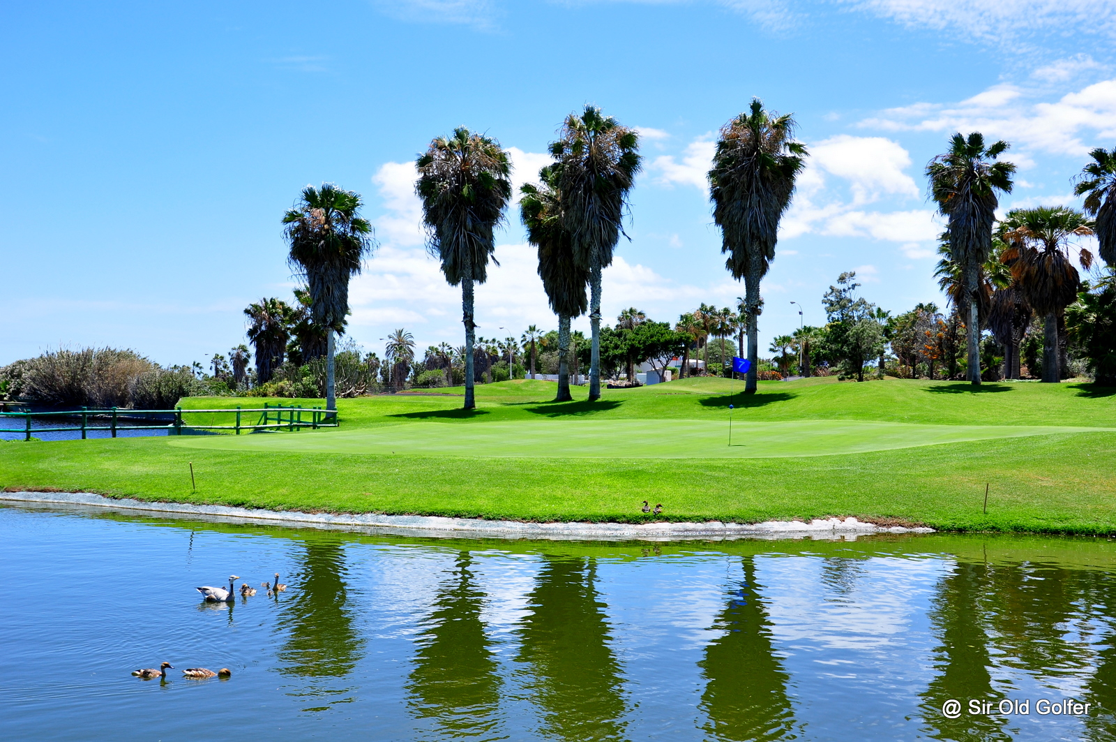 Golfing High Season in Tenerife Tenerife Golf Concierge